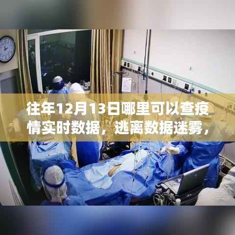 疫情之下的自然之旅,实时数据查询与美景中的内心平静探寻之路