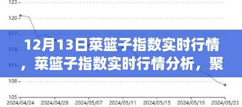 12月13日菜篮子指数实时行情及分析,市场波动与影响一览