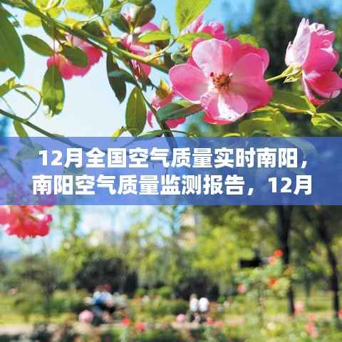 南阳空气质量监测报告,深度解析12月实时空气质量数据