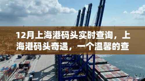 上海港码头奇遇,温馨的查询故事实时更新