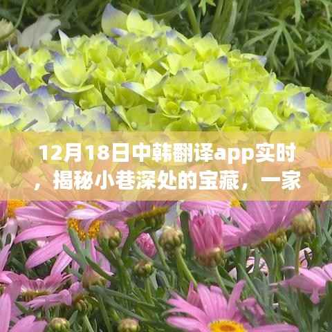 中韩翻译App带你探寻小巷深处的宝藏,特色小店的秘密
