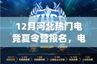 河北电竞夏令营新星成长计划,入门到精通的全攻略报名启动