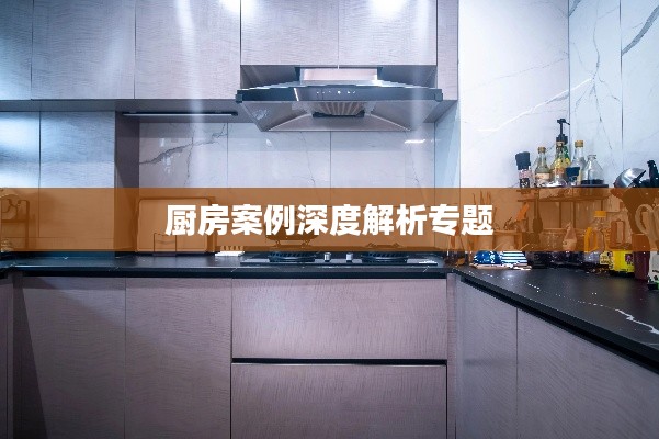 厨房案例深度解析专题