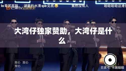 大湾仔独家赞助,大湾仔是什么