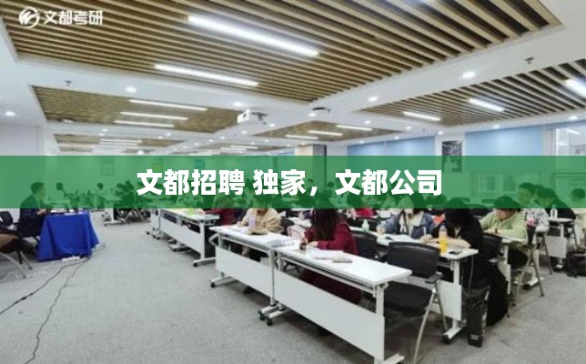 文都招聘 独家，文都公司 