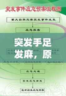 突发手足发麻,原因解析、应急处理与预防策略