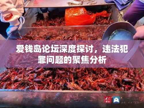 爱钱岛论坛深度探讨,违法犯罪问题的聚焦分析
