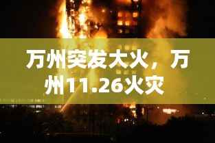 万州突发大火,万州11.26火灾