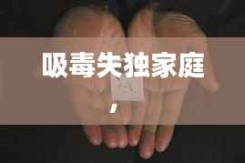 吸毒失独家庭， 