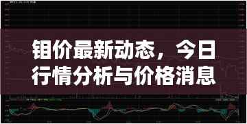 钼价最新动态,今日行情分析与价格消息一网打尽