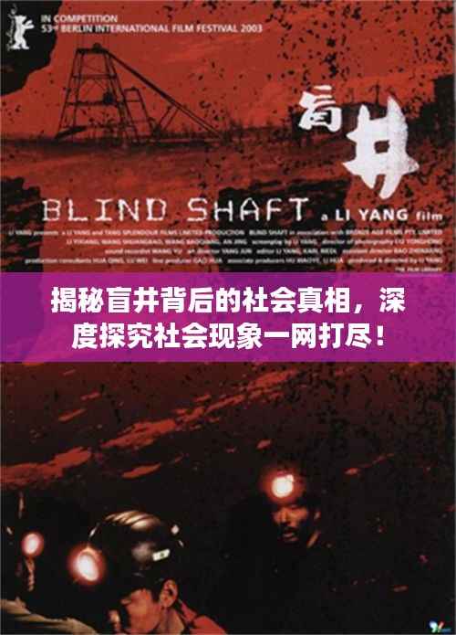 揭秘盲井背后的社会真相,深度探究社会现象一网打尽!