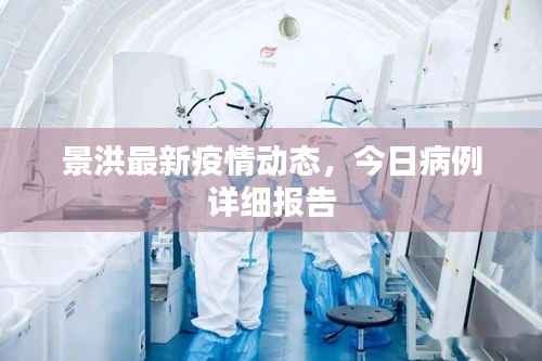 景洪最新疫情动态，今日病例详细报告