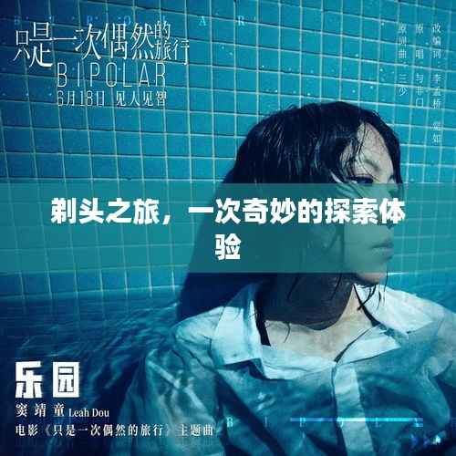 剃头之旅,一次奇妙的探索体验