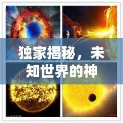 独家揭秘,未知世界的神秘面纱