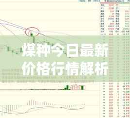煤种今日最新价格行情解析