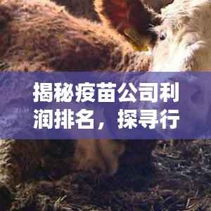 揭秘疫苗公司利润排名,探寻行业巨头背后的盈利秘密!