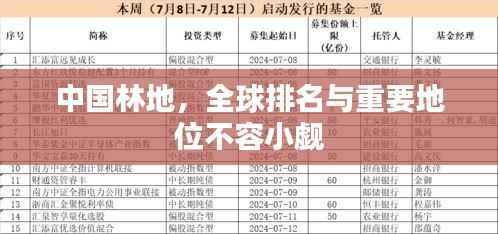 中国林地,全球排名与重要地位不容小觑