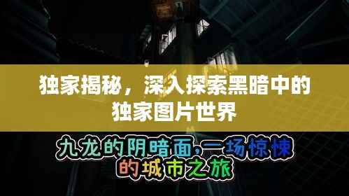 独家揭秘,深入探索黑暗中的独家图片世界
