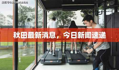 秋田最新消息,今日新闻速递