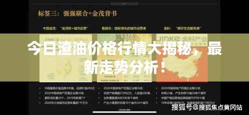 今日渣油价格行情大揭秘,最新走势分析!