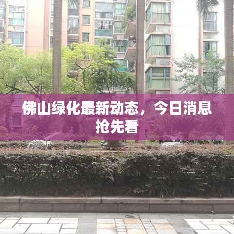 佛山绿化最新动态，今日消息抢先看