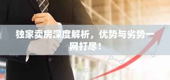 独家卖房深度解析,优势与劣势一网打尽!