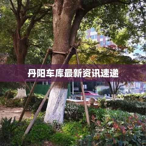 丹阳车库最新资讯速递