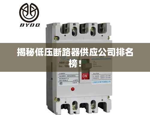 揭秘低压断路器供应公司排名榜!