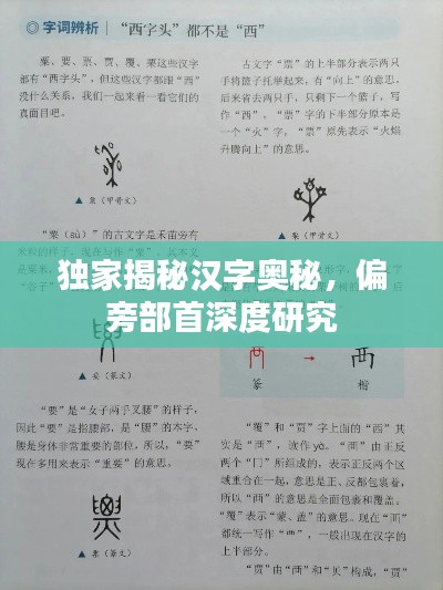 独家揭秘汉字奥秘，偏旁部首深度研究