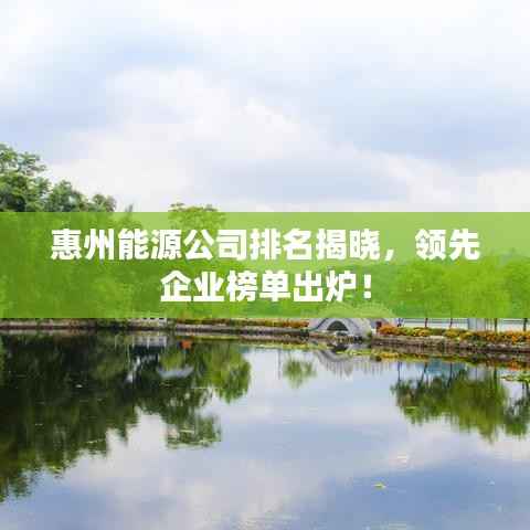 惠州能源公司排名揭晓,领先企业榜单出炉!
