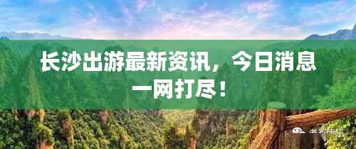 长沙出游最新资讯,今日消息一网打尽!