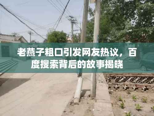 老燕子粗口引发网友热议,百度搜索背后的故事揭晓