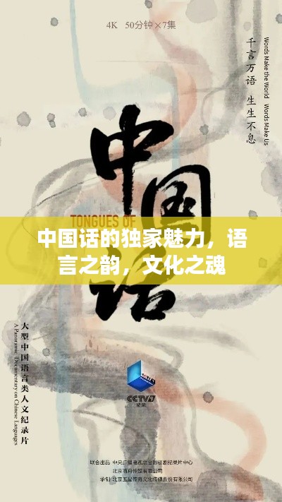 中国话的独家魅力,语言之韵,文化之魂