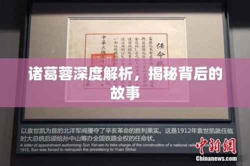 诸葛蓉深度解析,揭秘背后的故事