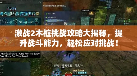 激战2木桩挑战攻略大揭秘,提升战斗能力,轻松应对挑战!