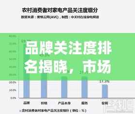 品牌关注度排名揭晓,市场影响力与消费者偏好大揭秘!
