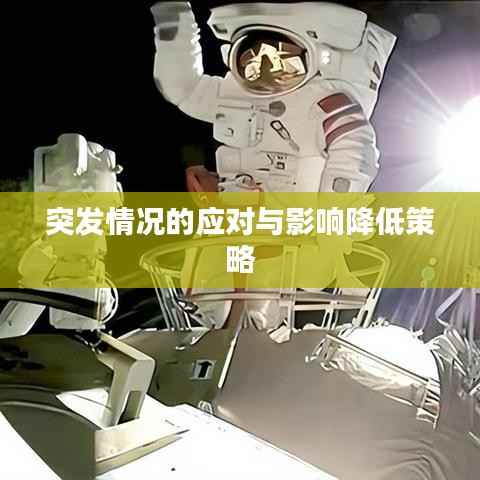 突发情况的应对与影响降低策略