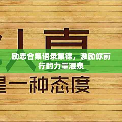 励志合集语录集锦,激励你前行的力量源泉