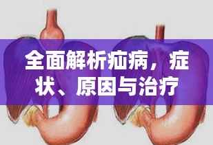 全面解析疝病,症状、原因与治疗策略专题探讨
