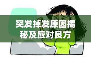 突发掉发原因揭秘及应对良方