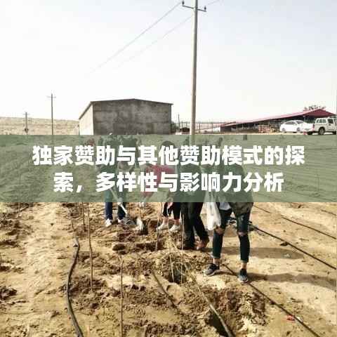 独家赞助与其他赞助模式的探索，多样性与影响力分析