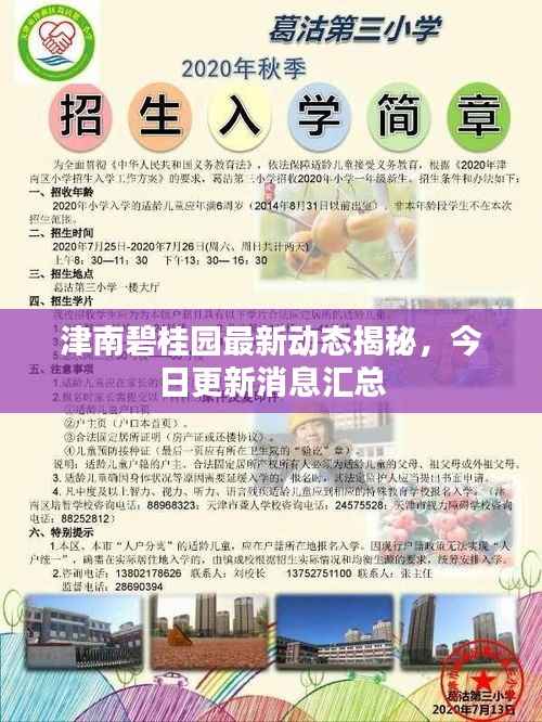 津南碧桂园最新动态揭秘，今日更新消息汇总