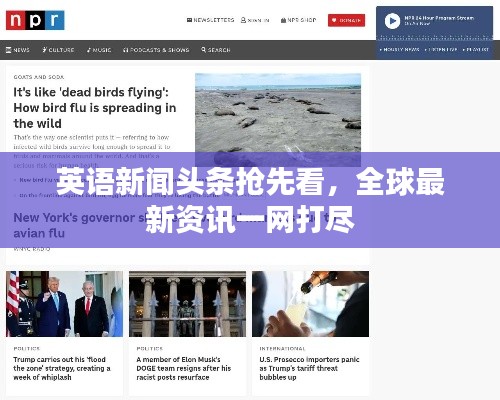 英语新闻头条抢先看,全球最新资讯一网打尽