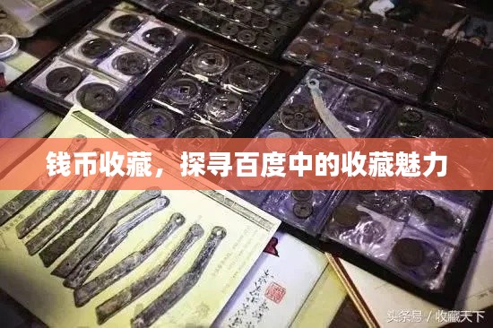 钱币收藏,探寻百度中的收藏魅力