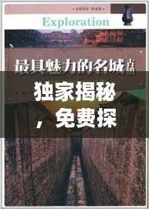 虚张声势 第3页